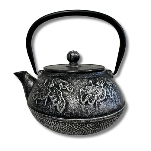 SO SKIN Théière Japonaise Fonte 900ml