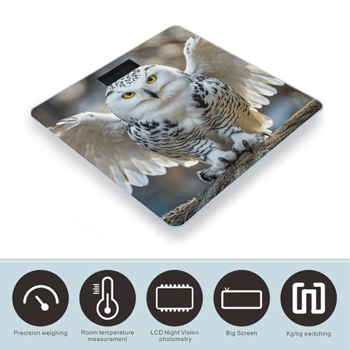 Báscula digital para baño Snow Owl con pantalla LCD miniatura 3
