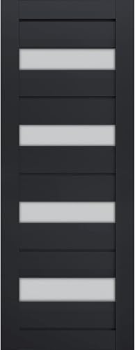 SARTODOORS Slab Barn Door Panel Frosted Glass | Veregio 7455 Antracite | Sturdy 