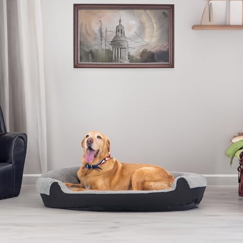 Mascotas, Pet Products Imagen adicional