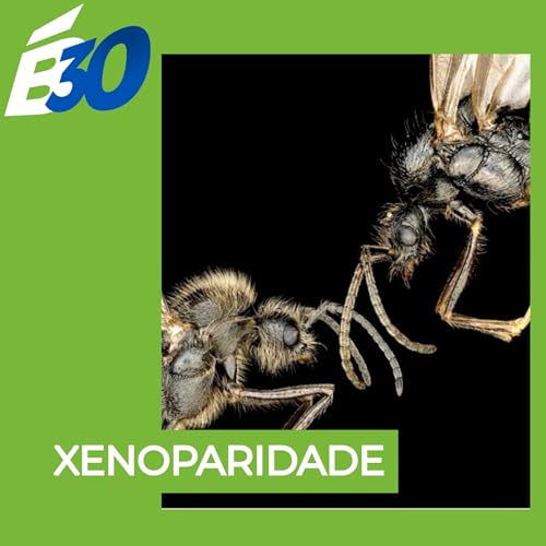 Xenoparidade