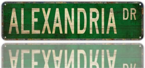 PuseTaer Apular Street Sign Alexandria Alexandria Gift Alexandria Sign Alexandria Backyard Bar Wall...