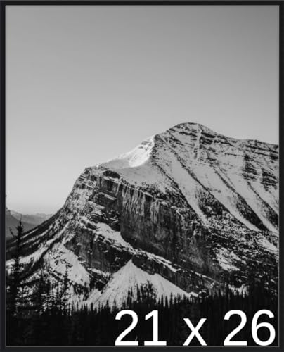 Frame It Easy 21 1/2 x 26 1/2 Satin Black Metal Frame (Ashford) 21.5x26.5 inches