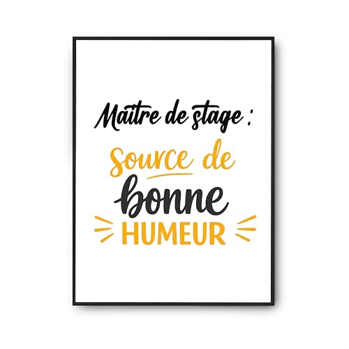 Poster imprimé en France cadeau humour affiche maître de stage
