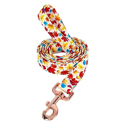Image of Tunkoo Autumn Charm Dog Leash with Metal Buckle - Durable, Stylish, and Perfectly Sized for Fall Season Daily Walking S
