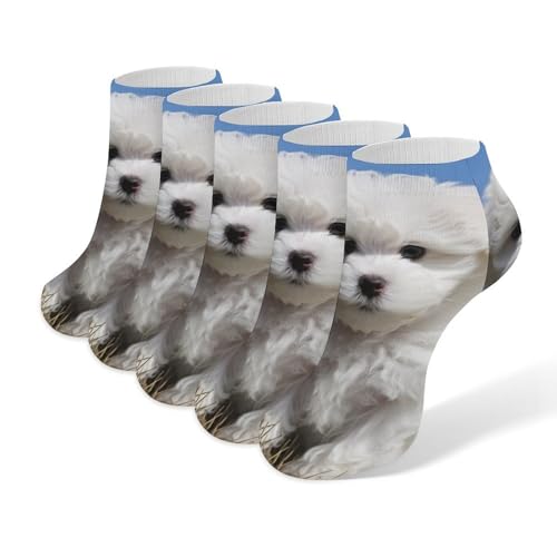 Bichon Frise Dog Socks No Show Socks Low Cut Anti-Slid Athletic Casual Invisible Liner Socks Unisex