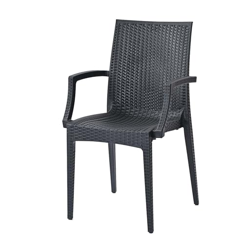 �T���t�����[���^�� ���^����1�l�|���K�[�f���`�F�A C1602PDG