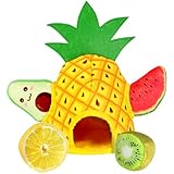 Aroocke Squeaky Dog Toys, 5 Pack of Cute Fruit Shaped Hide and Seek Pet Toys. Plush Interactive Chew Toy, Keep Them Busy, Gifts for Small to Medium-Sized Dogs