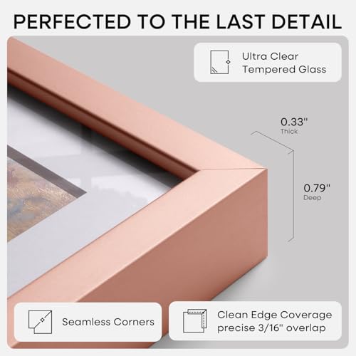 Image of Homeforia 8x24 Panoramic Frame Rose Gold, High End Metal 8 x 24 Picture Frames without Mat, 24x8 Hanging Rose Gold Poster Frames for Wall, 8by24 Display Photo Frame, Tempered Glass, Wall Kit, Set of 1