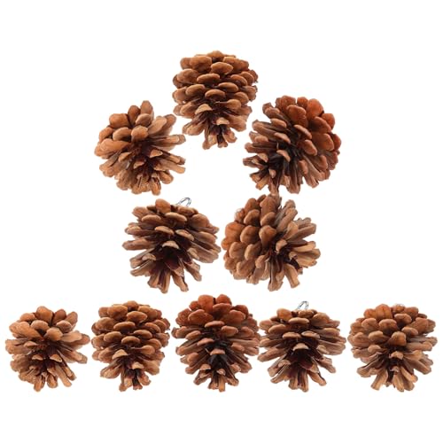 LEDMOMO 10����݂艺�������ڂ�����̂������� �������p���݂��ɋ������̊��ނ������� �C���R���^�I�E���̗V�ѓ���