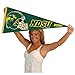 College Flags & Banners Co. NDSU Bison Football Helmet Pennant