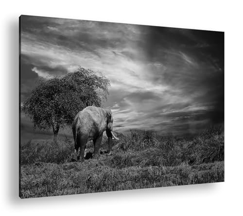 Éléphant dans la steppe impression d'art noir et blanc évasion sauvage