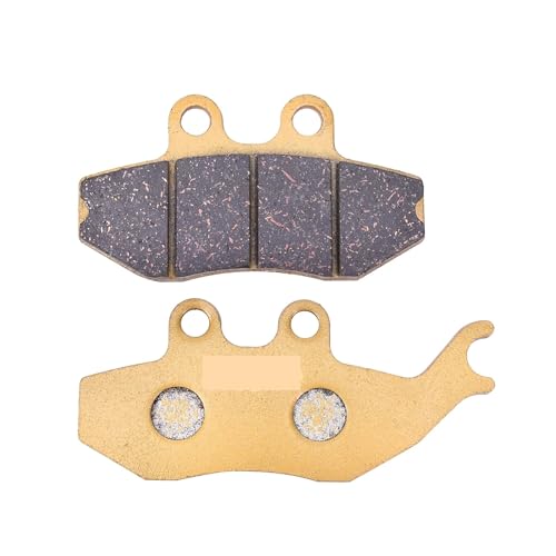 Plaquettes de frein avant EC50 à friction stable pour SM250