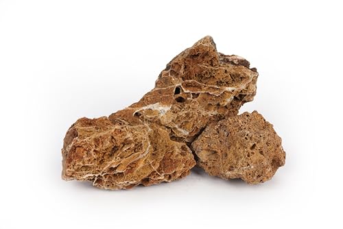 Image of LANDEN Maple Leaves Stone Natural Rocks (18lbs, 3~9 inches,9pcs) for Aquarium, Paludarium, Terrariums, Decorative of Forest Creeks, lakesides, and Streams