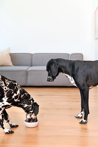 Primox Hunde-Trockenfutter 15kg | hergestellt in DE | Nährstoffreich | Ohne Zucker & andere Zusätze | Für Vitalität & Gesundheit beim Hund (Rind & Gemüse)