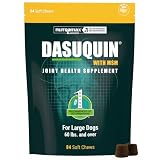 Nutramax Dasuquin for Large Dogs Soft Chews