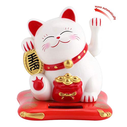 IPT \[[  U菵L ܂˂˂  ȃGl  u 蕨    N J^ObY ACe XB23001 zCg