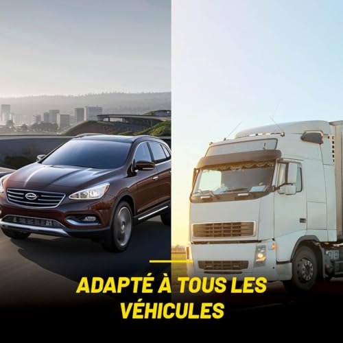 Dunlop Câbles de Démarrage Voiture 3M 16Mm² - Câbles Batterie pour Transfert Fiable - Pinces Isolées Sécurisées - Jumpstarter avec Sac de Transport - Tuv Gs Certifié – vue 7