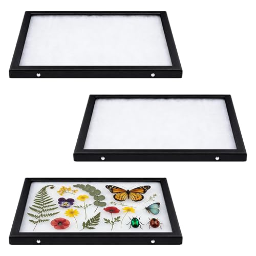 Colingmill 3 Pack 12 x 16 x 3/4 Inch Glass Top Riker Display Cases PU Leather Large Collectibles Display Cases for Collectibles Jewelry Pins Medals