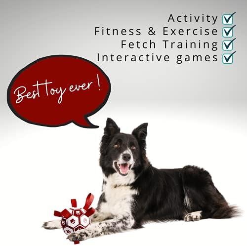Dog Toys, Dog Football - Interactive Fetch Toy Dog Ball. Outdoor Garden Toys with Straps for Tug Games, Swimming Pools & Dog Training