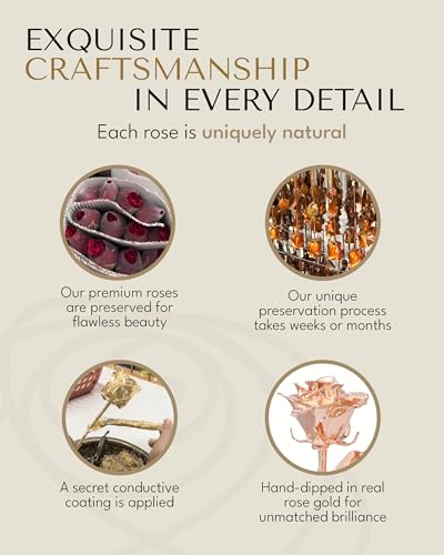 Image of Forever Rose Two Real Roses Dipped in Rose Gold, Handcrafted Preserved Rose in Acrylic Heart Vase and Luxury Gold Gift Box, Romantic Gift for Her, Elegant Keepsake for Anniversary, Birthday