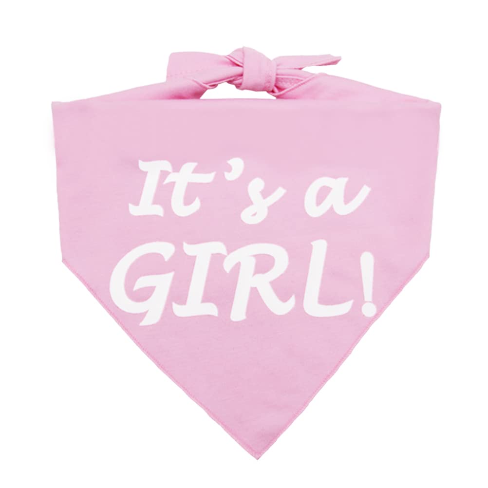 It’s a Boy or It’s a Girl Dog Bandana Pregnancy Announcement Dog Bandana Baby Announcement Triangle Pet Scarf Scarves Gender Reveal Photo Prop Pink Boy and Girl
