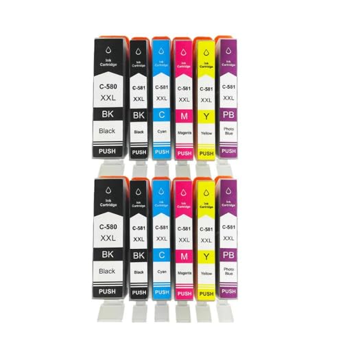 Cartouche PGI 580 CLI 581 pour imprimer les devoirs et photos sur TS6151