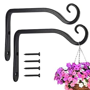 Loogi 15cm Pflanzenhalterung Wandhaken Schwarz 2er Set