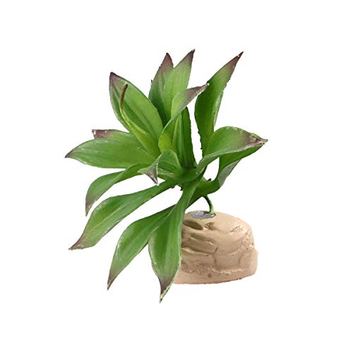 Turtle Fish Tank Planta decorativa Simulação Planta Decoração da casa Pet Folha Réptil Decoração Ter