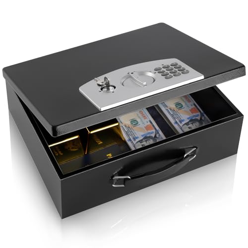 Dalmbox Fireproof Digital Safe Box for Documents