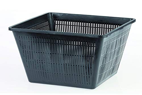 Oase - Cesta cuadrada para plantas (23 x 23 cm)