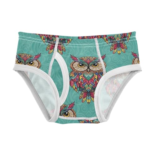 CHIFIGNO Vintage Ethnic Owls Green Boys' Briefs Cotton Boy Underwear Printed Soft Briefs Underwear