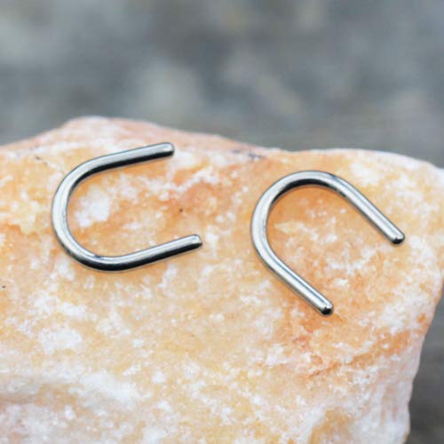 Pierced Owl Set of 4 G23 Implant Grade Titanium Septum Retainers2