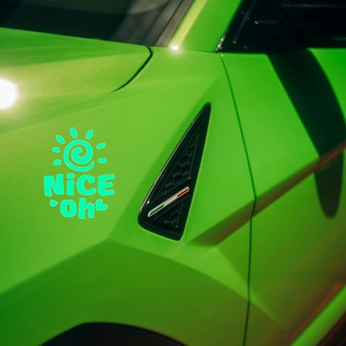 Image of Car Sticker, Decals 4 Car Motorcycles,Sunflower, Glow-in-Dark,Scratch Shields,Covering Scratches, Fluorescent,Waterproof and Fade-Resistant,No Damage (Dazzling Night Light(Nice oh) 4.72'' x 3.94'')