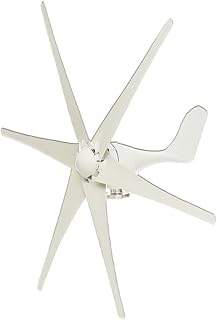 Windturbinen-Generator-Kit 6000 W kleine Windkraftanlage for zu Hause, Generator, Windmühle, geeignet for Straßenlaternen, Überwachung, Boot, 10 kW, 10000 , mit Controller(White,With controller,24V)