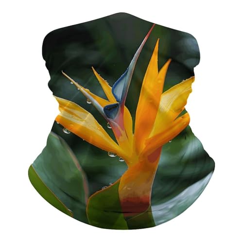 Cuello tubular para rostro transpirable resistente al viento color Heaven Bird, protector solar, antipolvo, bandana balaclava para hombre y mujer