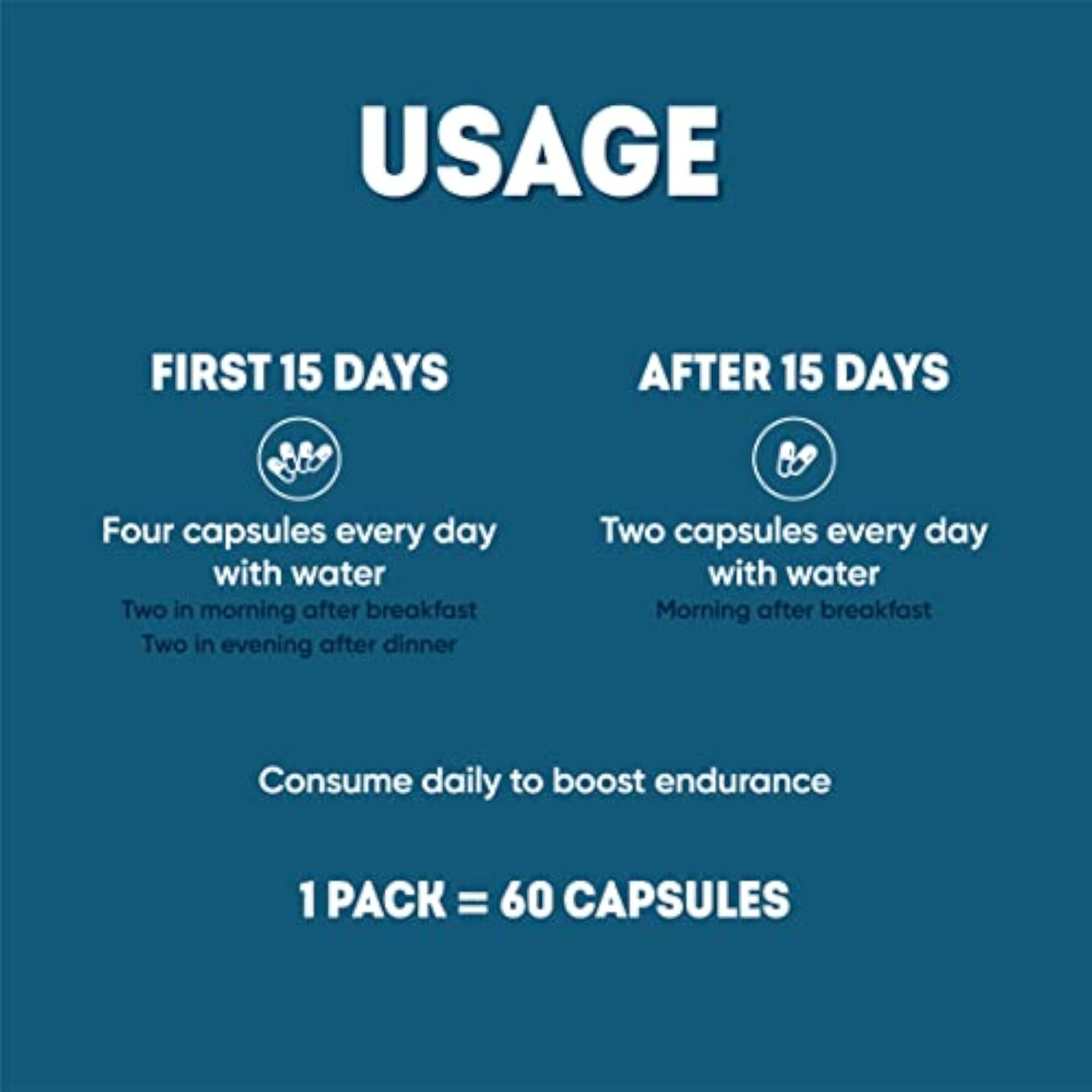 AADAR EN-DURE Capsule, Ayurvedic Energy Booster