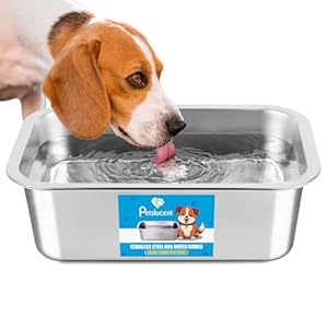 Stainless Steel Dog Water Bowl: 1.25 Gallons Metal Pet Water & Food Bowl No Spilling – High Capacity Dog Bowls for Medium, Larges, X-Large Dogs