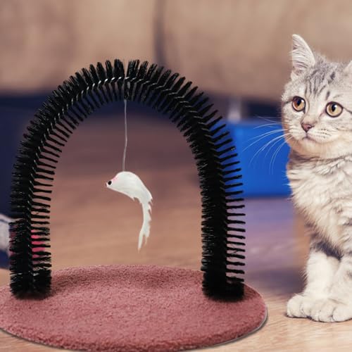 Cuidado belleza gatitos sin estrés usando el cepillo masajeador para gatos interactivo 3