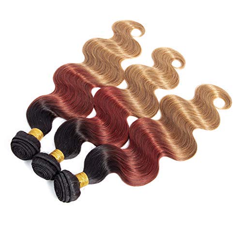 Ombre Brazilian Virgin Human Hair Bundles, 9A Grade Ombre Brazilian Body Wave 3 Bundles 3 Tone Blonde Color Hair (20 20 20, 1B/33/30)