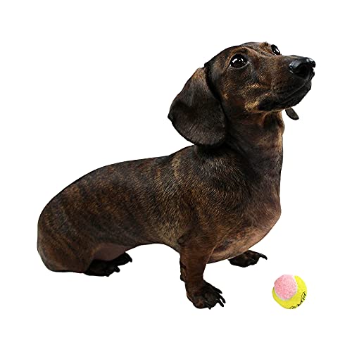 Midlee X-Small Dog Tennis Balls 1.5" Pack Of 12 (Pink/Yellow, 1.5 Inch) #TOP1