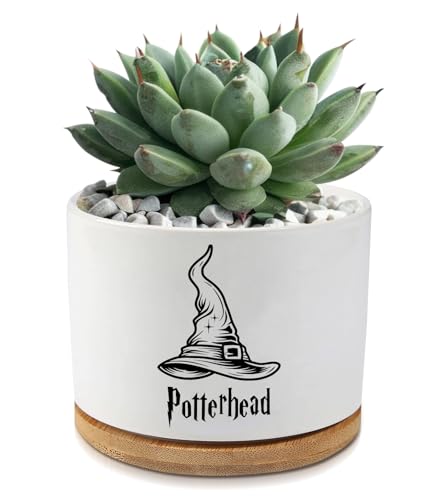 AKAQCHANG Ceramic Succulent Cactus Planter Pots with Drainage,Funny Planters Indoor Plants Desk Accessories,Harry Magic Hat Office Decor,Gifts for Plant Lovers Mom Friends Teacher(Plant Not Included)