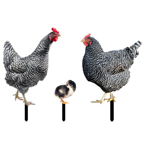 HANABASS 3pcs Acrylic Hen Chick Yard Arts Decorative Chicken Realistic Shaped Yard Stake Lawn Stakes Decorative Garden Stakes