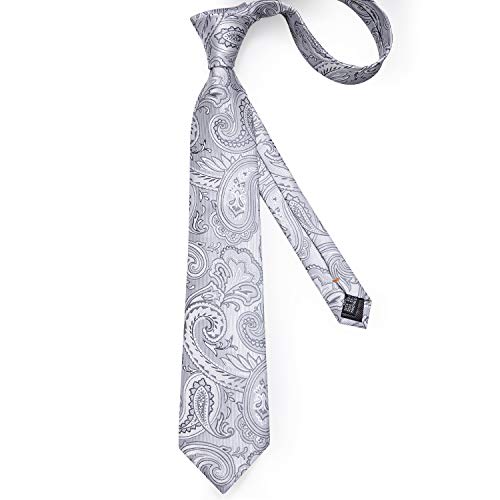 Image of DiBanGu Silk Ties for Men Necktie and Lapel Pin Brooch Set Formal Woven Paisley Plaid Striped Solid Tie Wedding Party