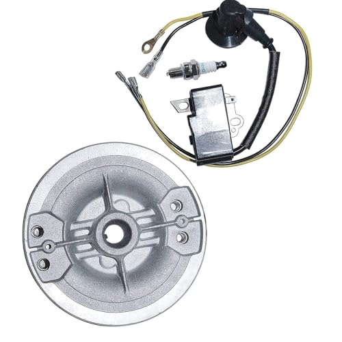 Kit d'allumage avec bobine et volant moteur pour l'entretien MS251