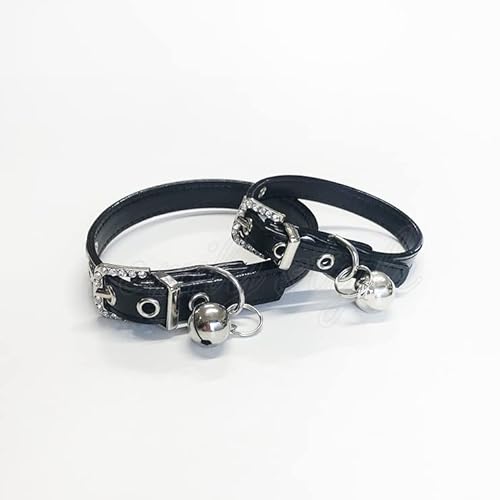 ybgp t  CXg[  yT2z yT3z J[ p Lp ^ U[ CXg[   ybg Lp hbO Lbg G~[X^C emilystyle (T2-XS, ubN)