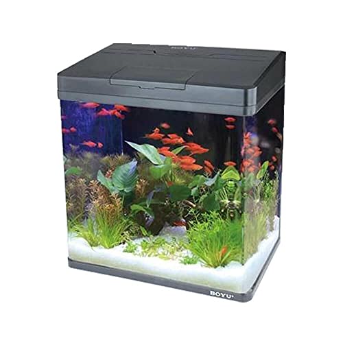 BOYU - Aquário Curvo MS-420 31L Preto 110V