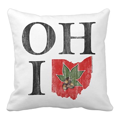 Emvency Vintage Ohio Buckeye Pillow Cover Cover