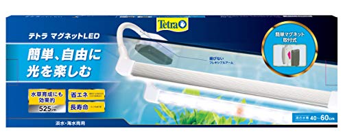 eg (Tetra) eg }OlbgLED Cg  ANAE Mы _J 