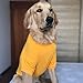 lovelonglong 2019 Dog Pullover Sweatshirt Autumn Winter Cold Weather Dog T-Shirts for Small Medium Large Size Dogs Golden Retriever Clothes Orange XXXXL